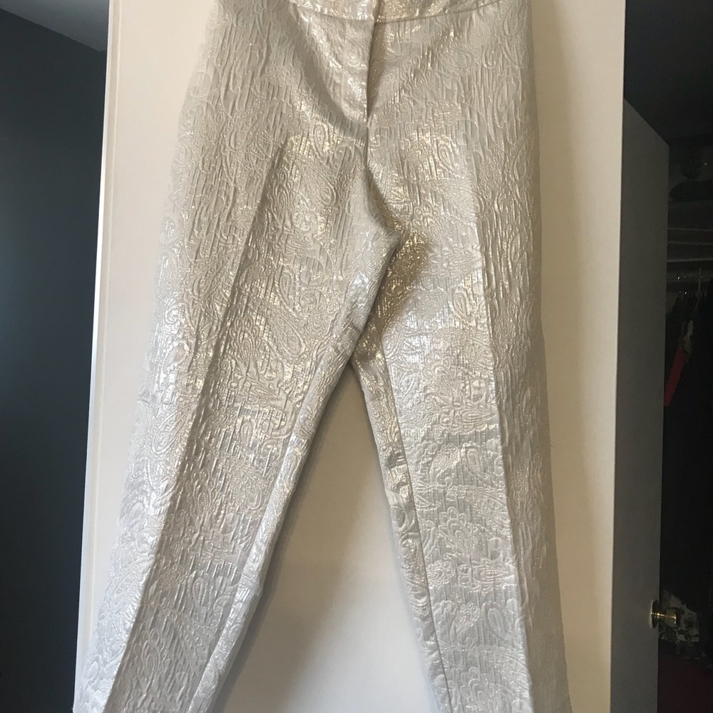 Dressy, chic super cute ankle pants. NWT